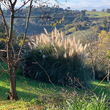 Il Pago Calvi dellʼ Umbria