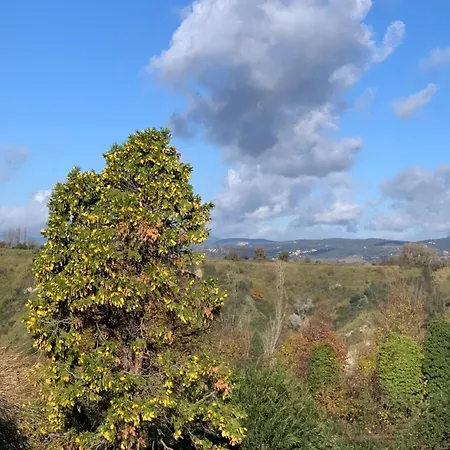 Il Pago * Calvi dellʼ Umbria