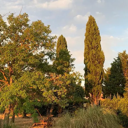 Il Pago * Calvi dellʼ Umbria